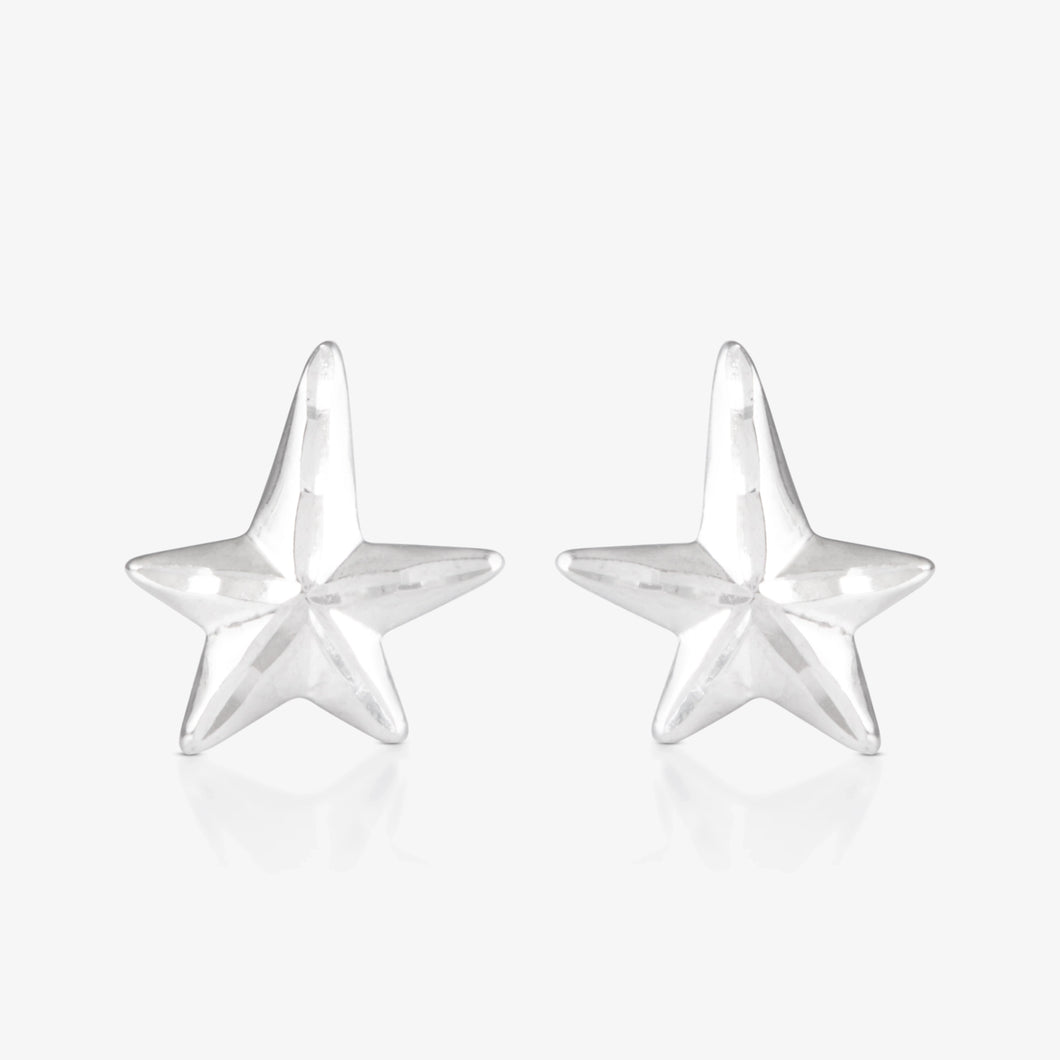 Platinum Star Earrings