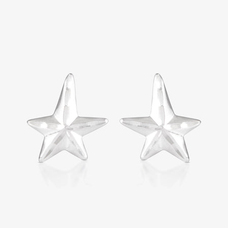 Platinum Star Earrings