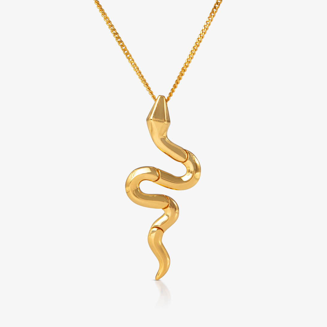 Minimalist Serpentine Pendant Necklace in 24K Gold