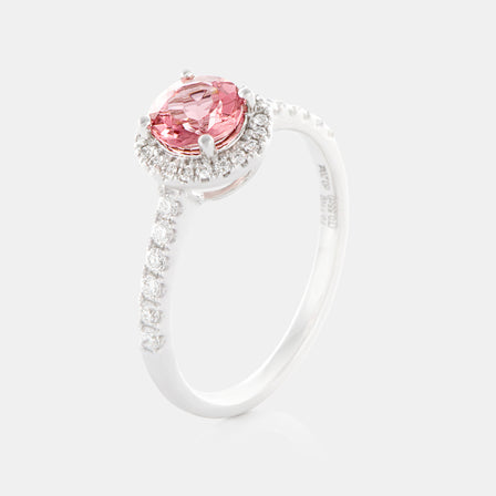 Royal Jewelry Box Pink Tourmaline and Diamond Halo Ring